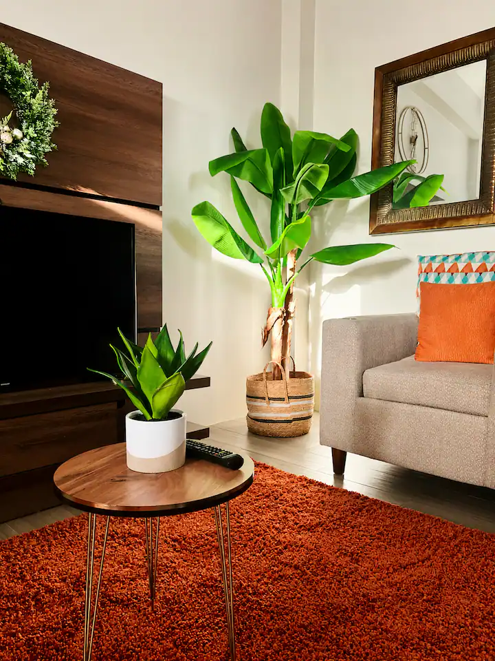 Bright living room corner with tropical plants, modern sofa and warm accents